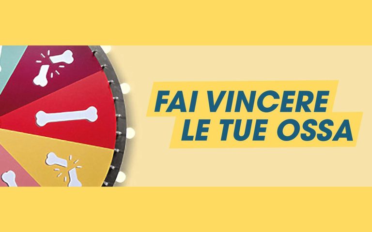 Scopri di più sull'articolo “Fai vincere le tue ossa”: campagna di sensibilizzazione sulla fragilità ossea